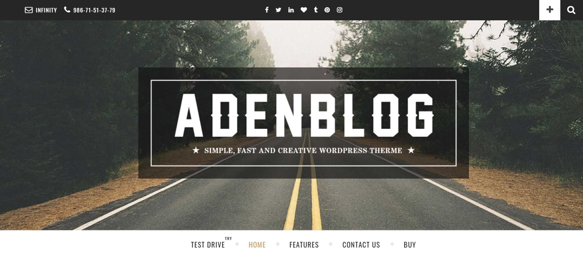 Aden - A WordPress Blog Theme