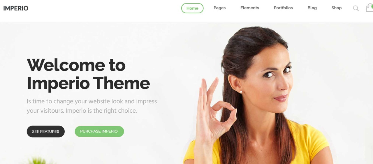 Imperio - Business, ECommerce, Portfolio & Photography WordPress Theme