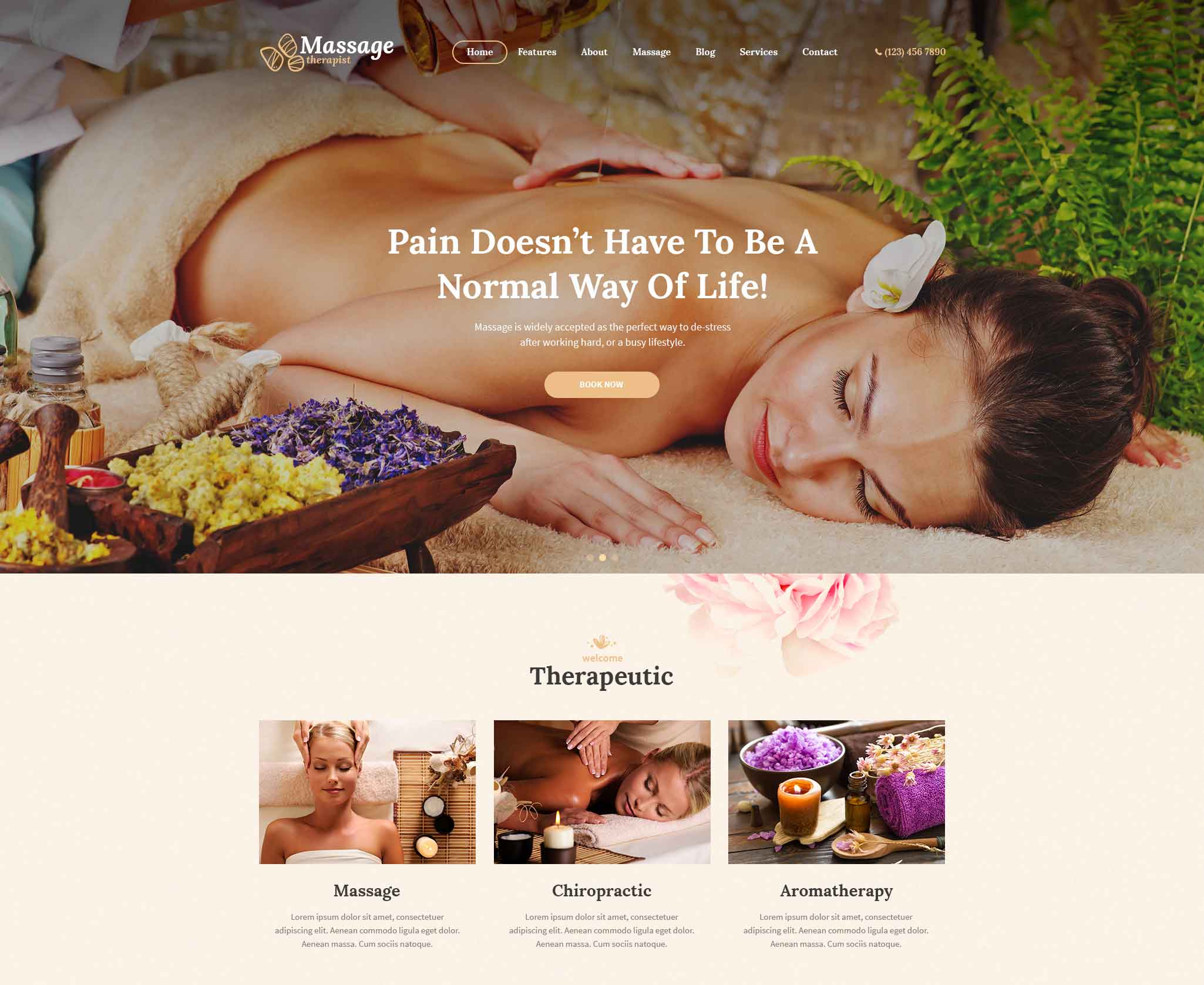 Massage Therapist and Spa Salon WordPress Theme