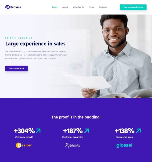 provise-special-financial-consulting-wordpress-theme