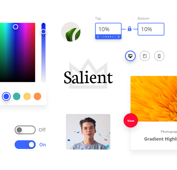 salient-wp-theme