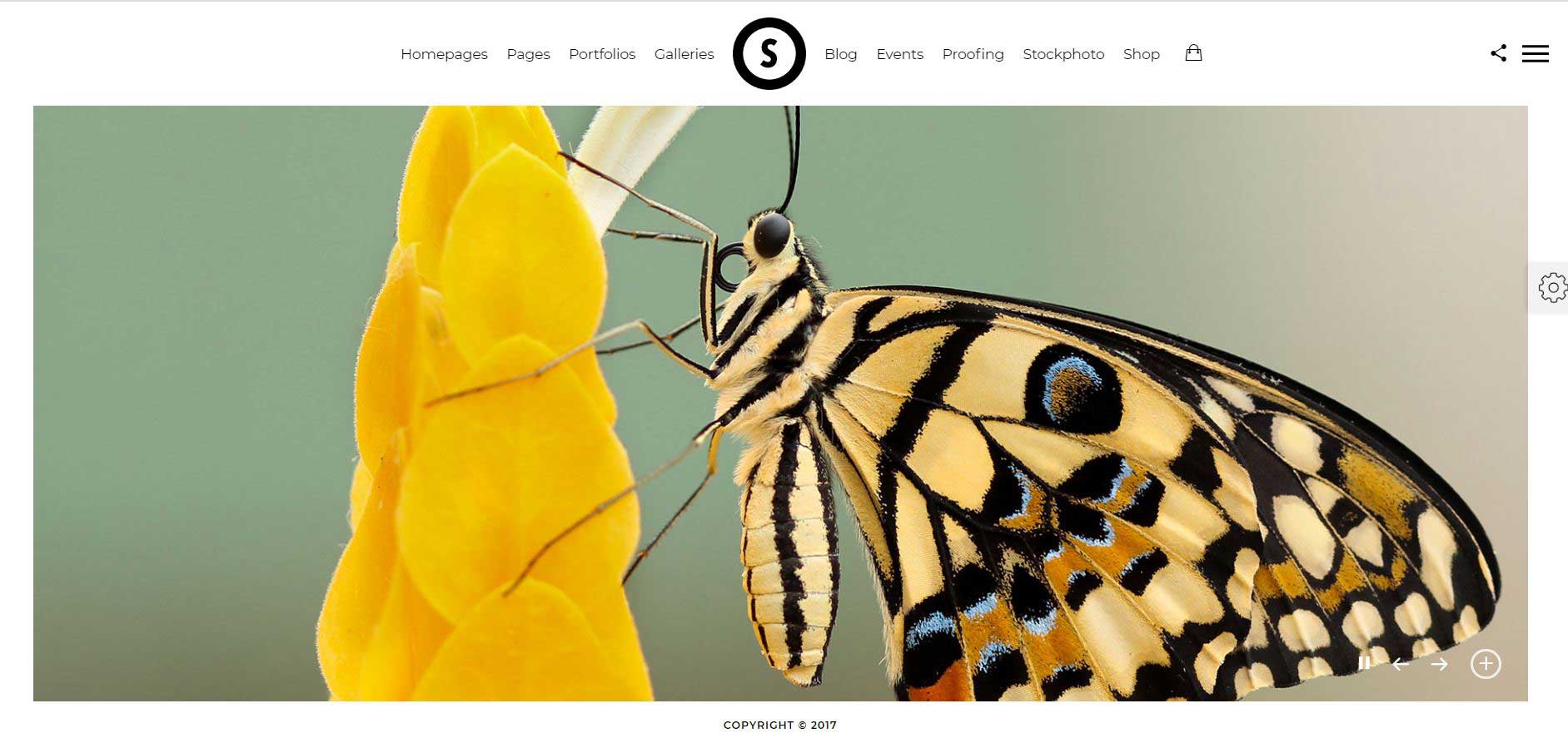 SceneOne | Photography Theme for WordPress