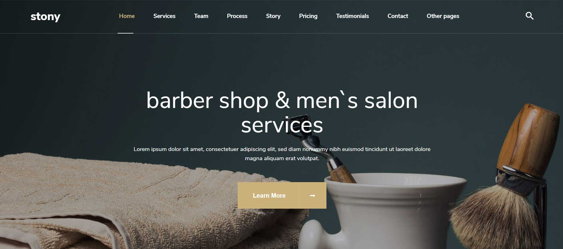 Stony - Small Business WordPress